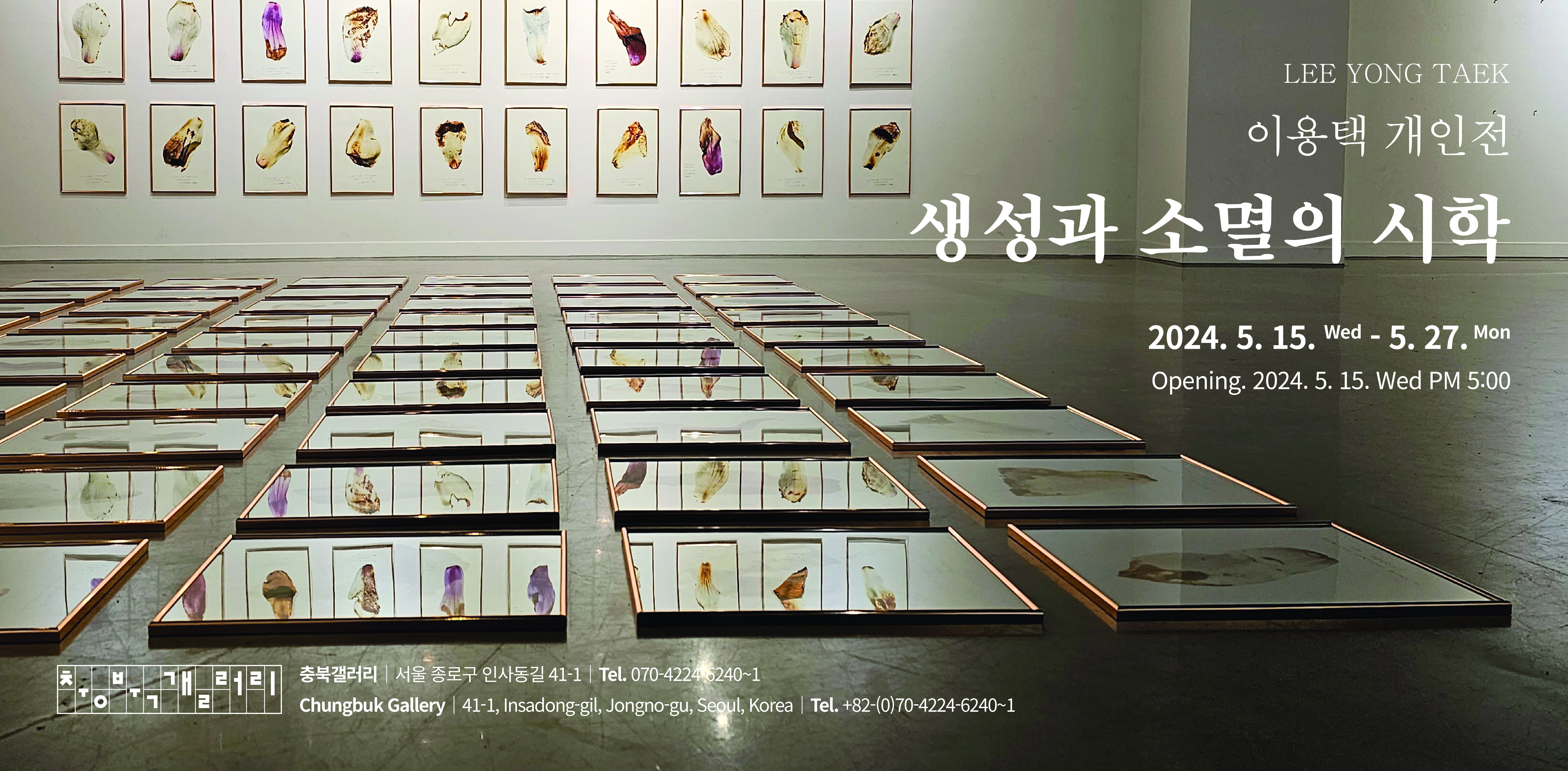 생성과 소멸의 시학 포스터 배경